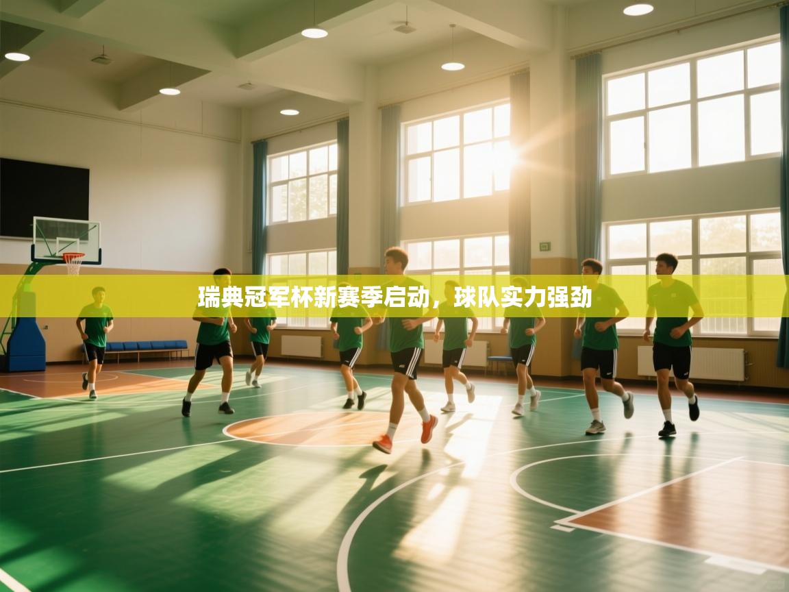 瑞典冠军杯新赛季启动，球队实力强劲  第1张