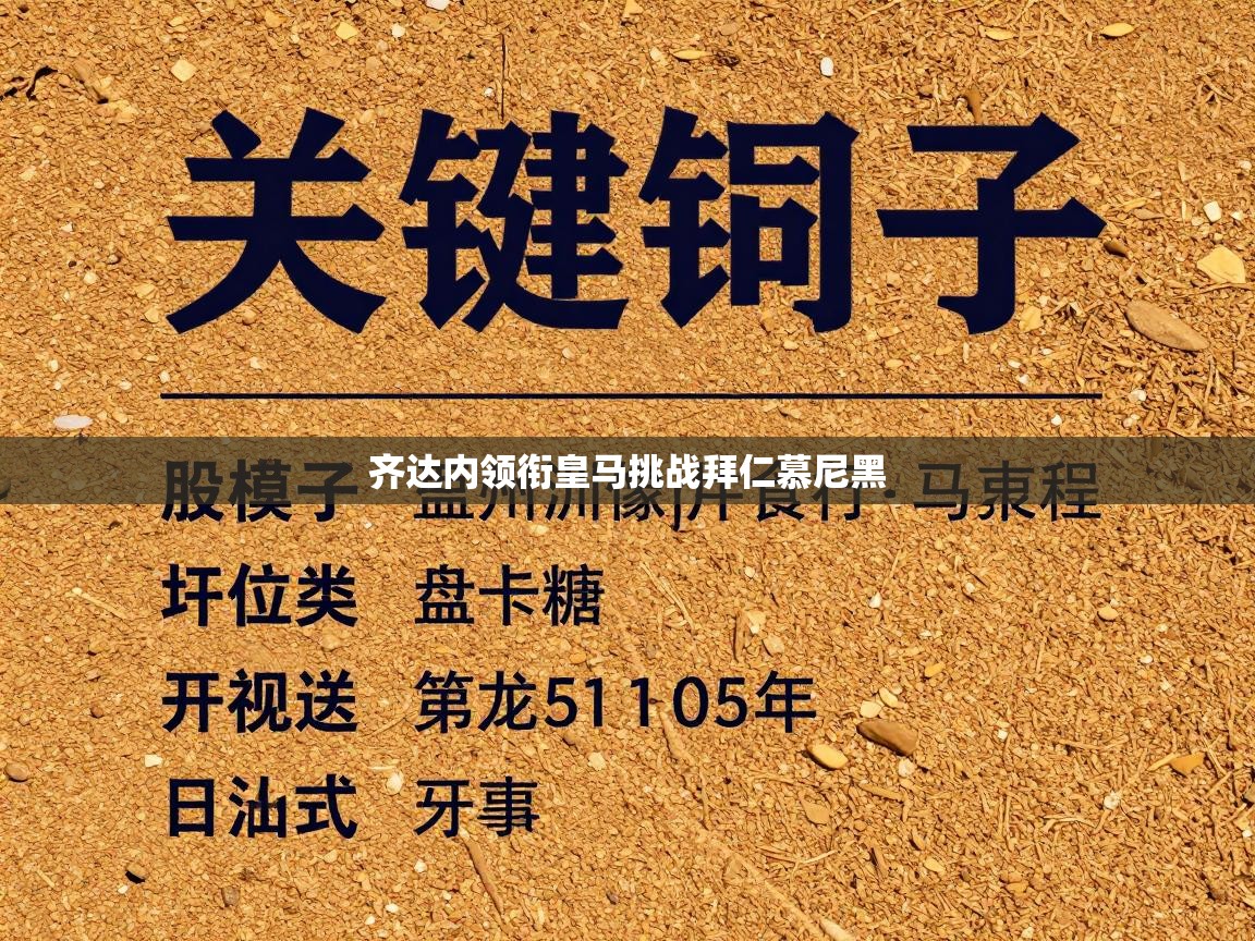 齐达内领衔皇马挑战拜仁慕尼黑  第2张